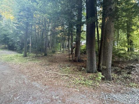 L31 Clarkson Road Chestertown NY 12817