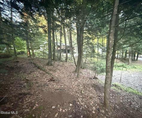 L31 Clarkson Road Chestertown NY 12817