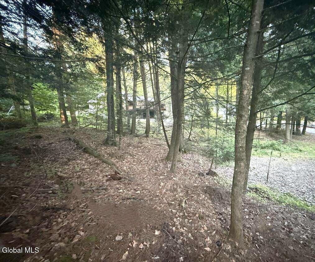 L31 Clarkson Road Chestertown NY 12817