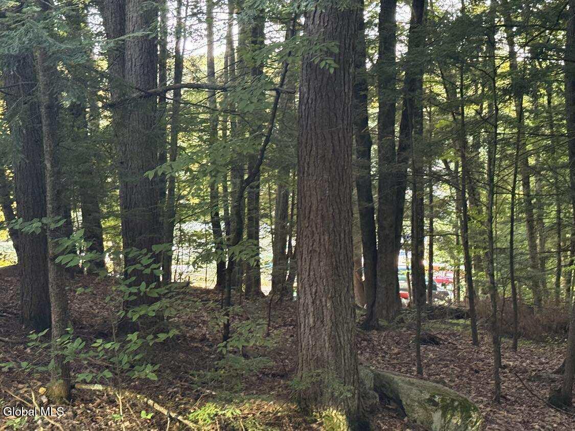 L31 Clarkson Road Chestertown NY 12817