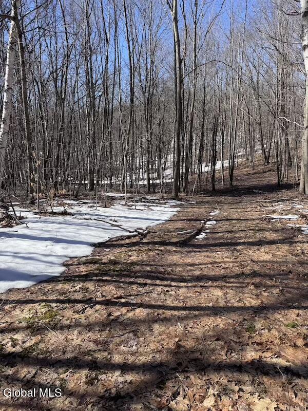 0 Harroway Road Richmondville NY 12149