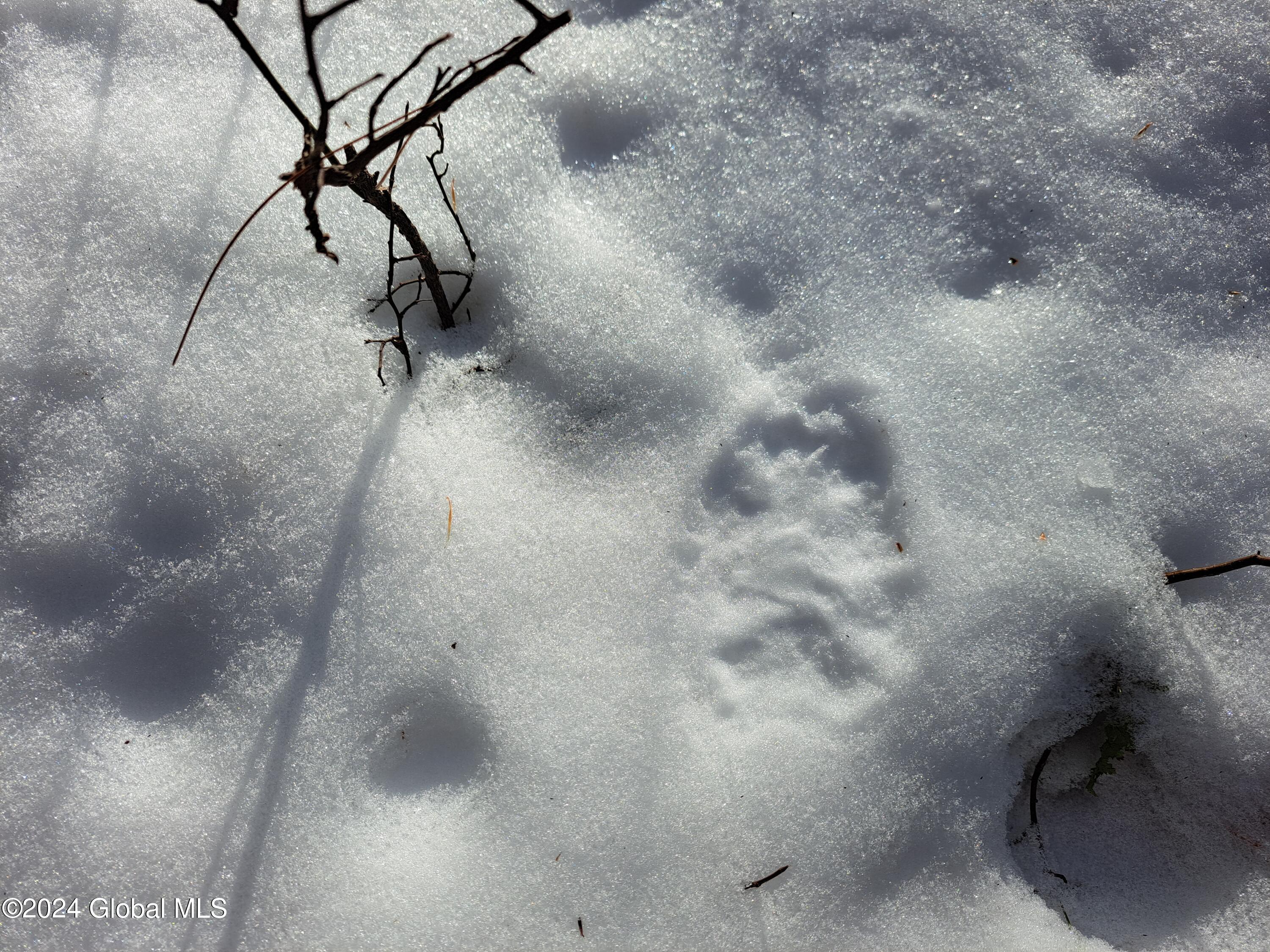 L17 Rice Road Northville NY 12134
