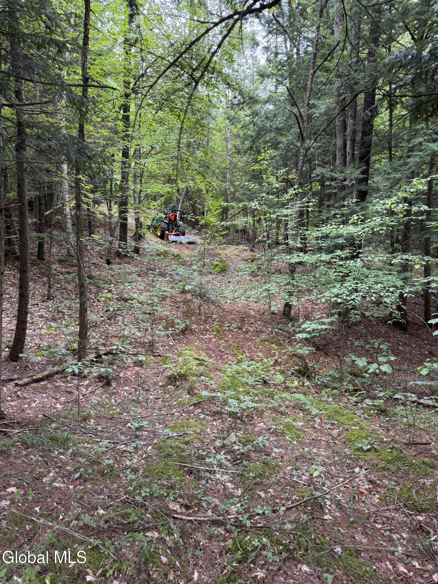 L37 Charley Hill Road Schroon Lake NY 12870