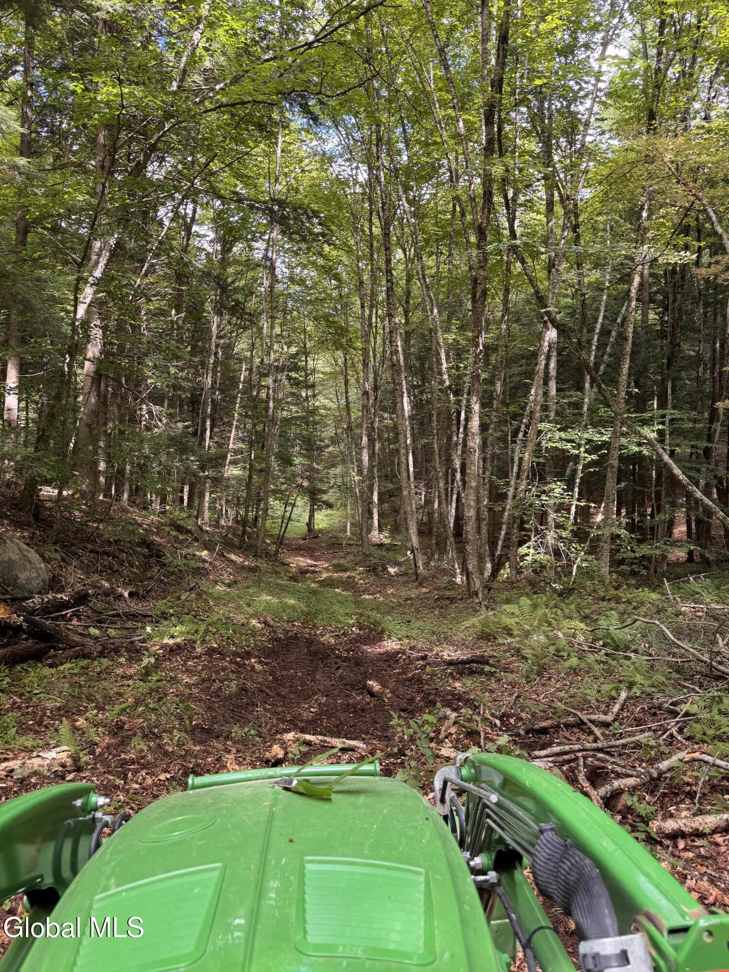 L37 Charley Hill Road Schroon Lake NY 12870