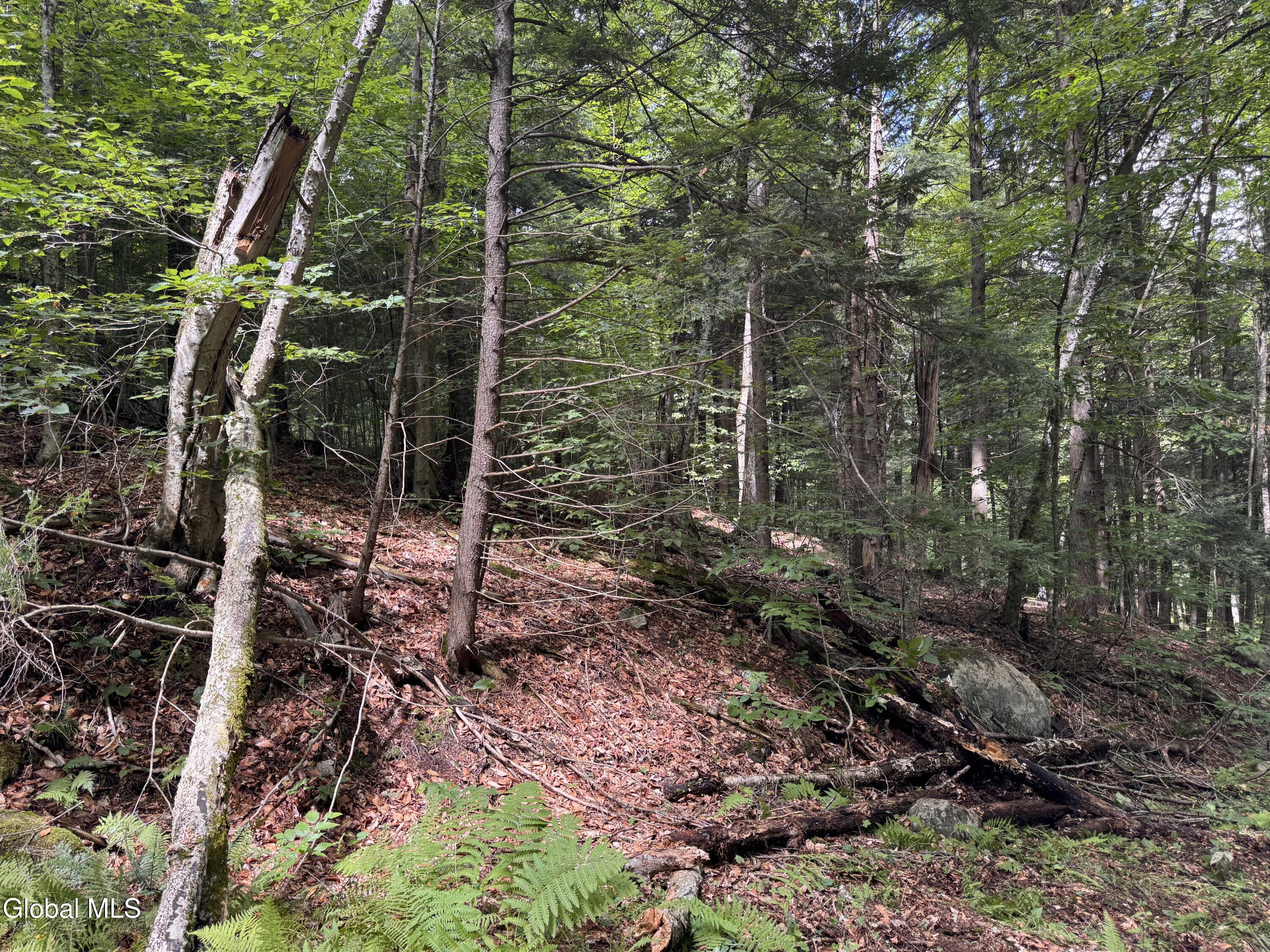 L37 Charley Hill Road Schroon Lake NY 12870