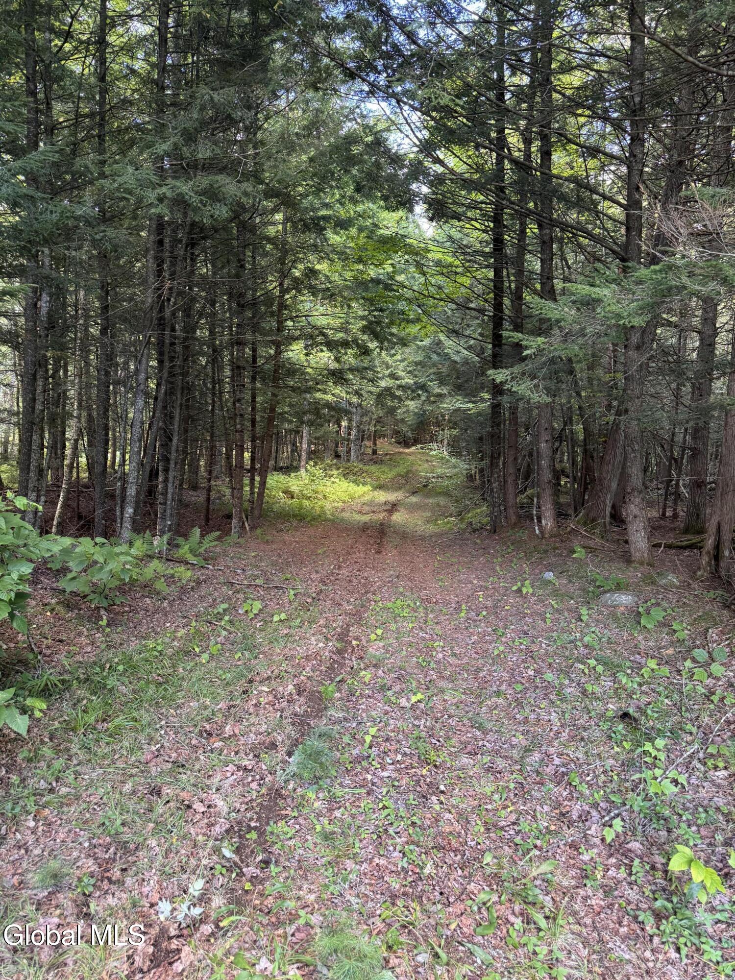 L37 Charley Hill Road Schroon Lake NY 12870
