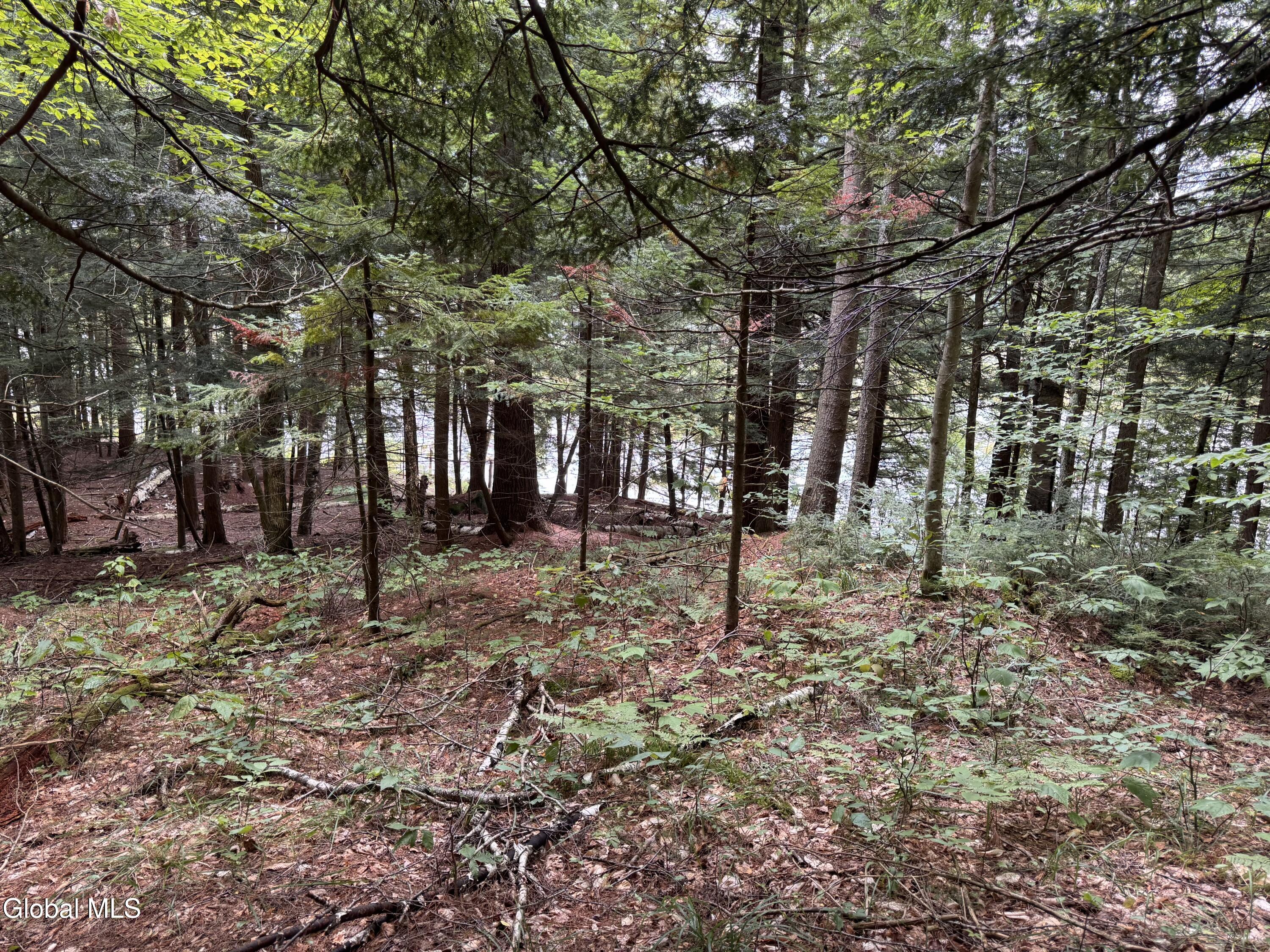 L37 Charley Hill Road Schroon Lake NY 12870
