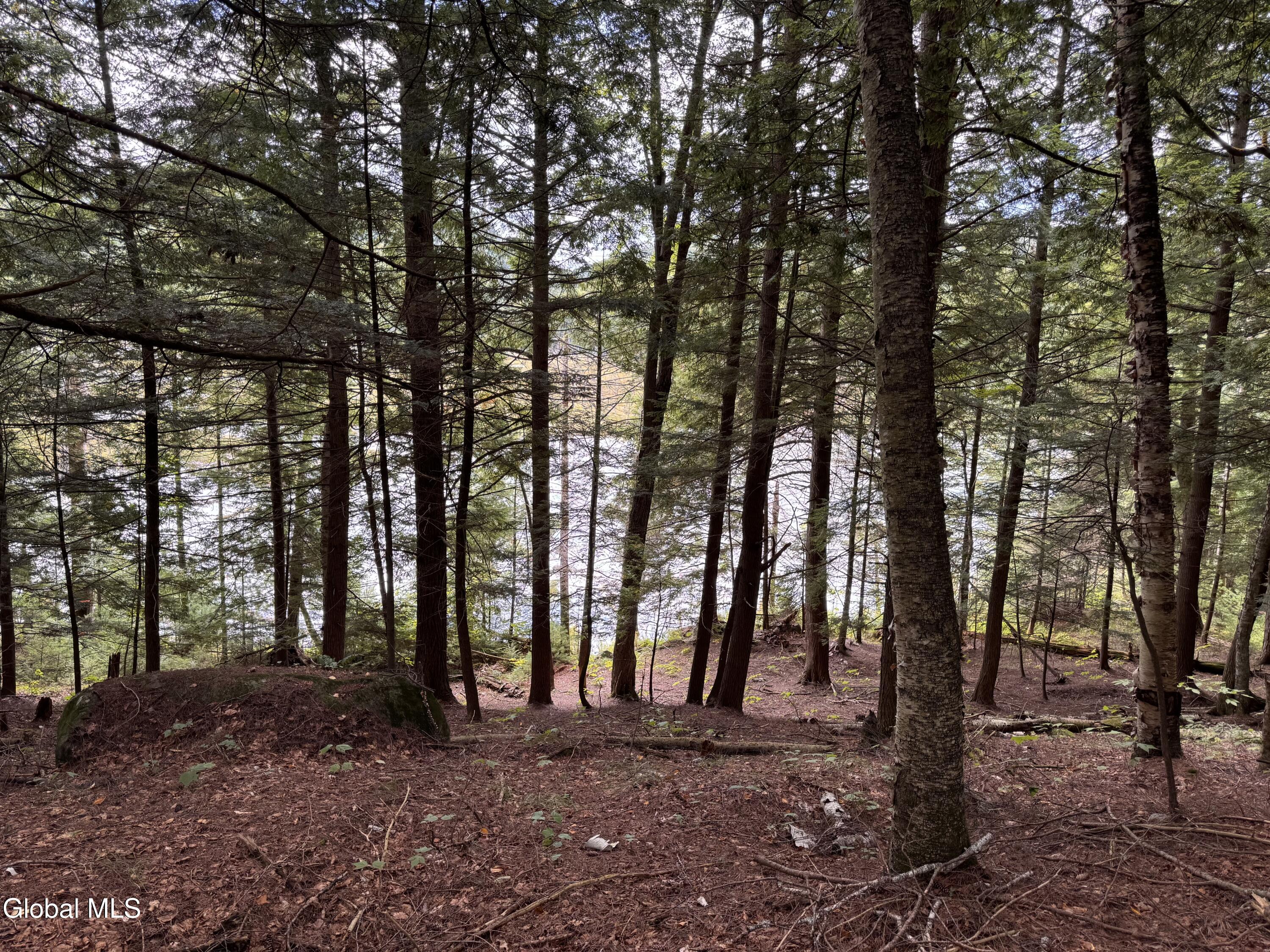 L37 Charley Hill Road Schroon Lake NY 12870