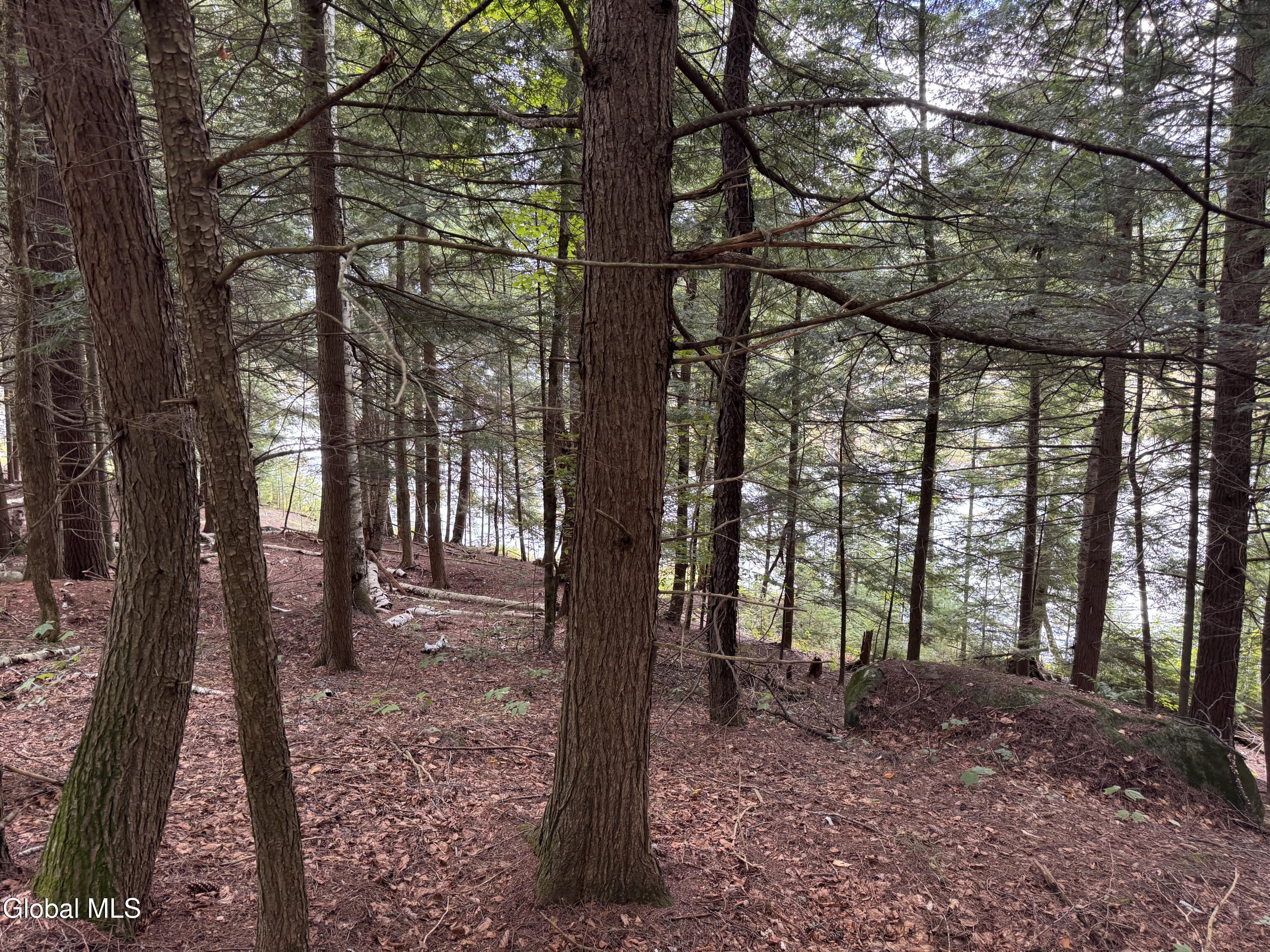 L37 Charley Hill Road Schroon Lake NY 12870