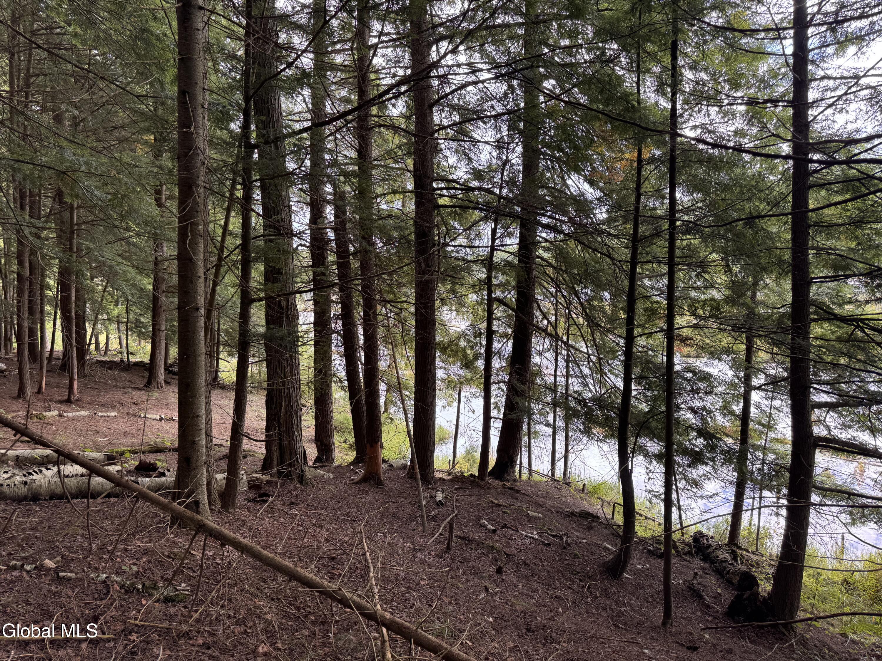 L37 Charley Hill Road Schroon Lake NY 12870