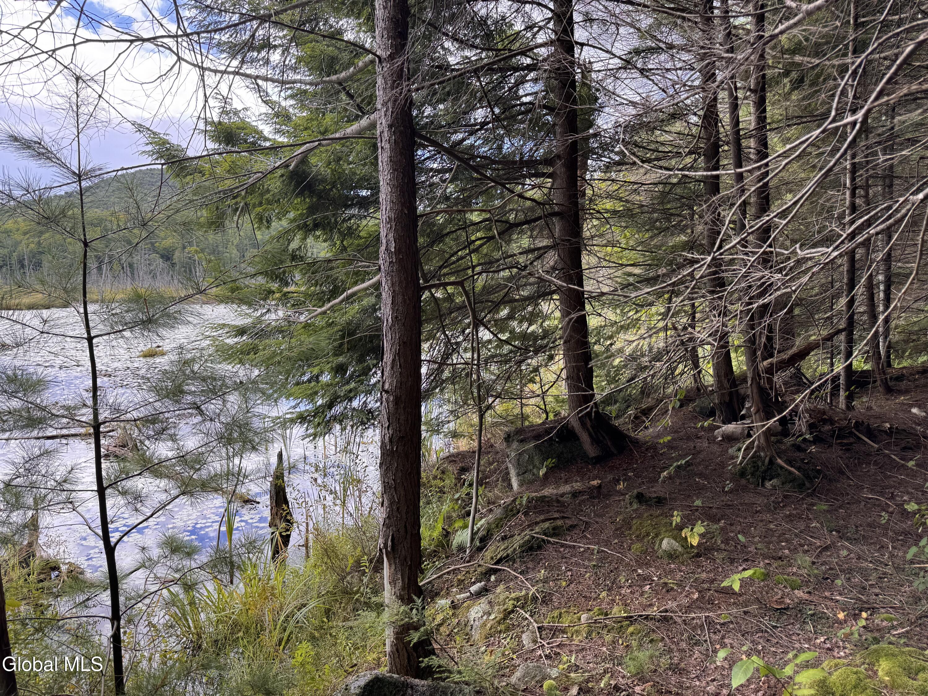 L37 Charley Hill Road Schroon Lake NY 12870