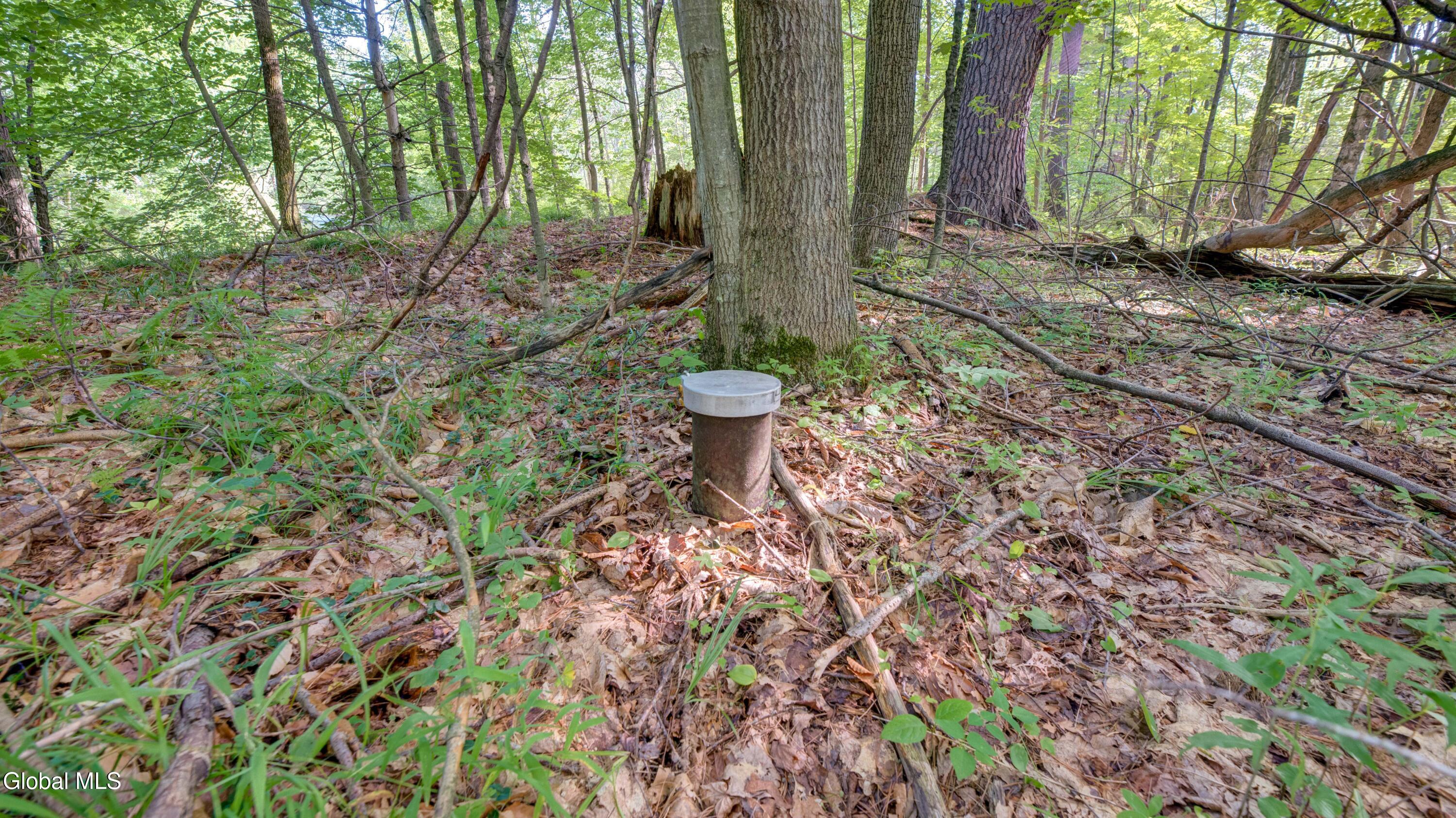 136 Bornt Road Broadalbin NY 12025