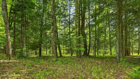 L1.6 Crystal Brook Path Jefferson NY 12093