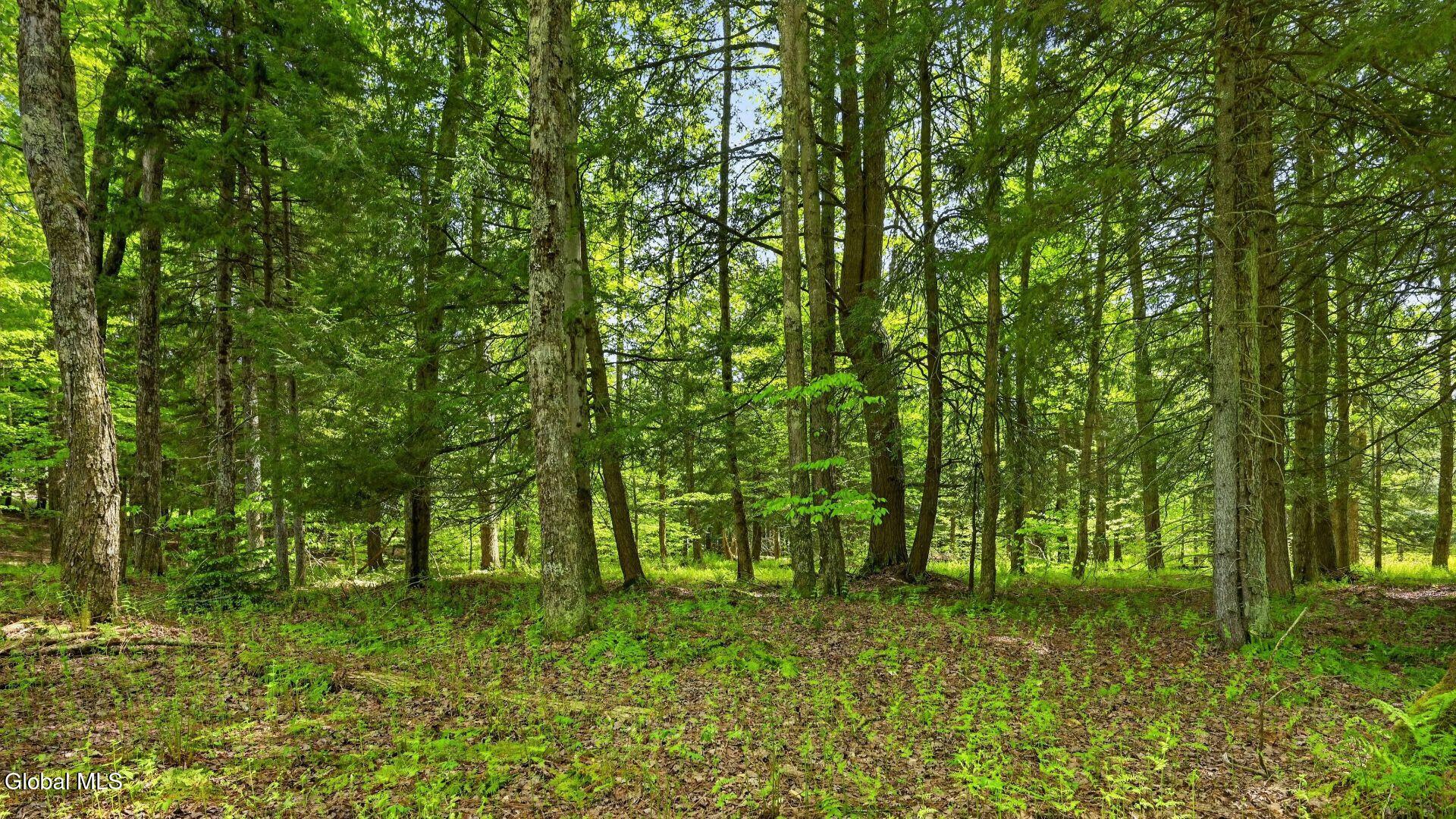L1.6 Crystal Brook Path Jefferson NY 12093