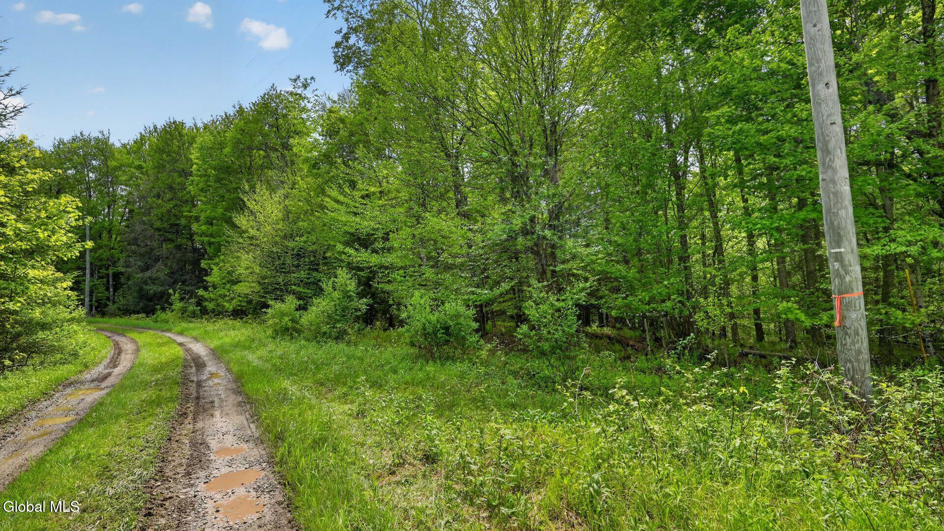 L1.6 Crystal Brook Path Jefferson NY 12093