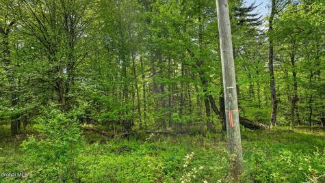 L1.6 Crystal Brook Path Jefferson NY 12093