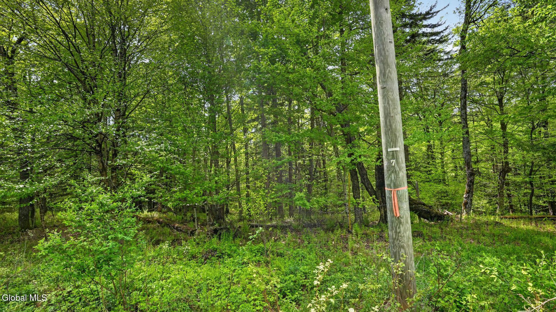 L1.6 Crystal Brook Path Jefferson NY 12093