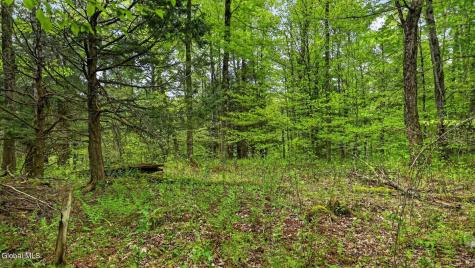 L1.6 Crystal Brook Path Jefferson NY 12093