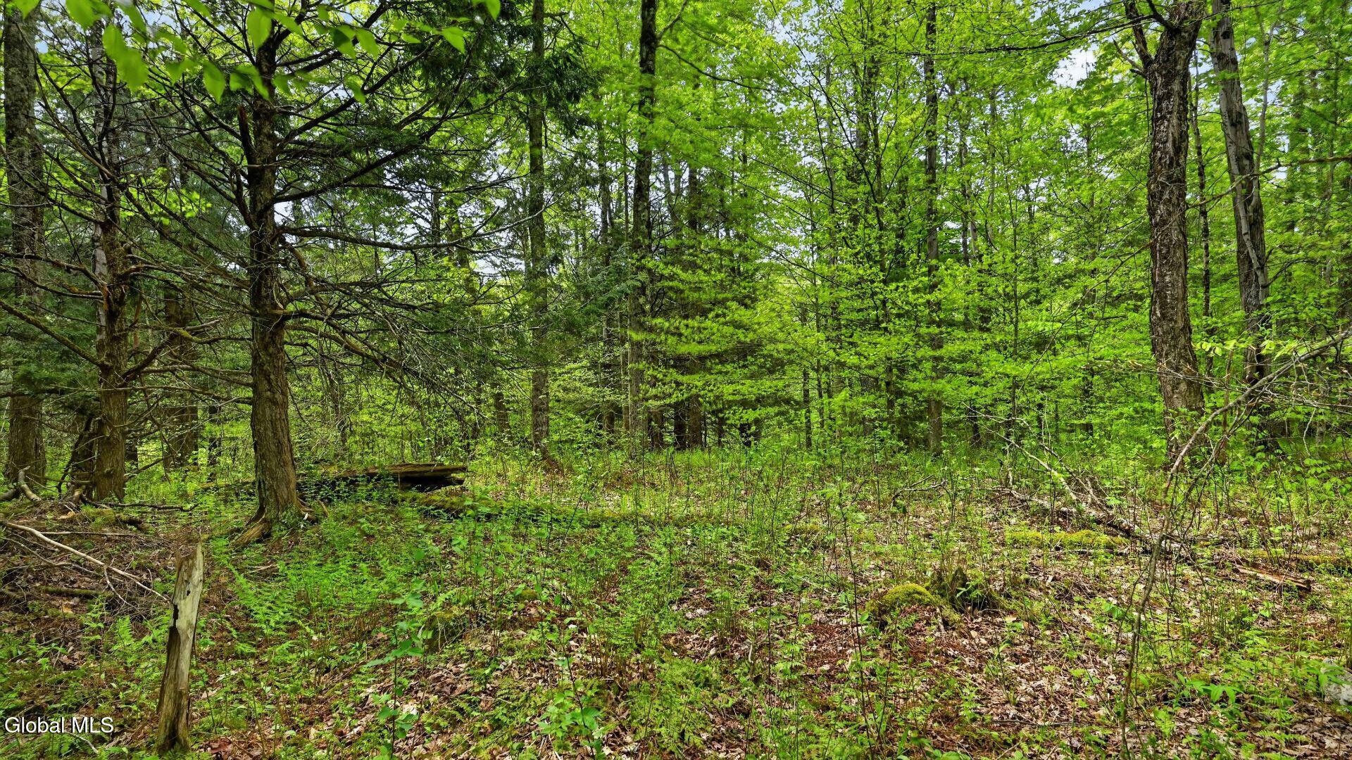L1.6 Crystal Brook Path Jefferson NY 12093