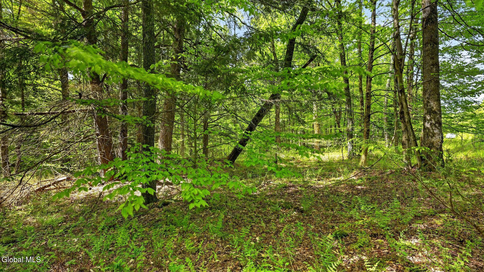 L1.6 Crystal Brook Path Jefferson NY 12093