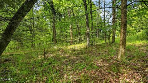 L1.6 Crystal Brook Path Jefferson NY 12093