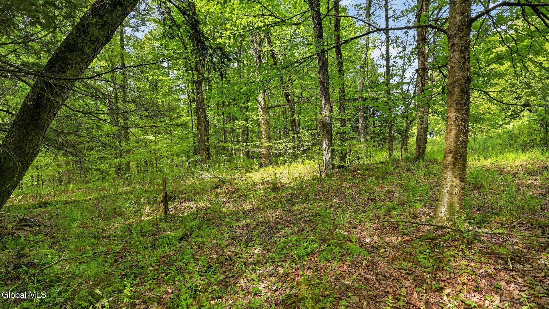L1.6 Crystal Brook Path Jefferson NY 12093