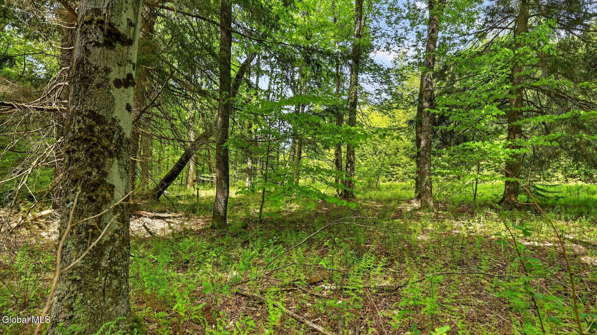 L1.6 Crystal Brook Path Jefferson NY 12093