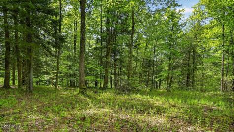 L1.6 Crystal Brook Path Jefferson NY 12093