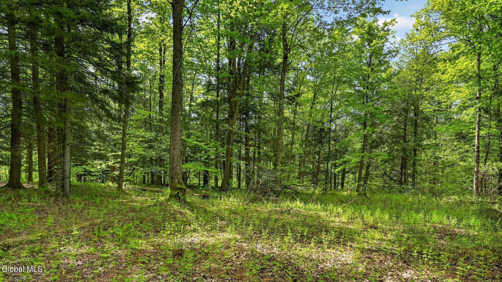 L1.6 Crystal Brook Path Jefferson NY 12093