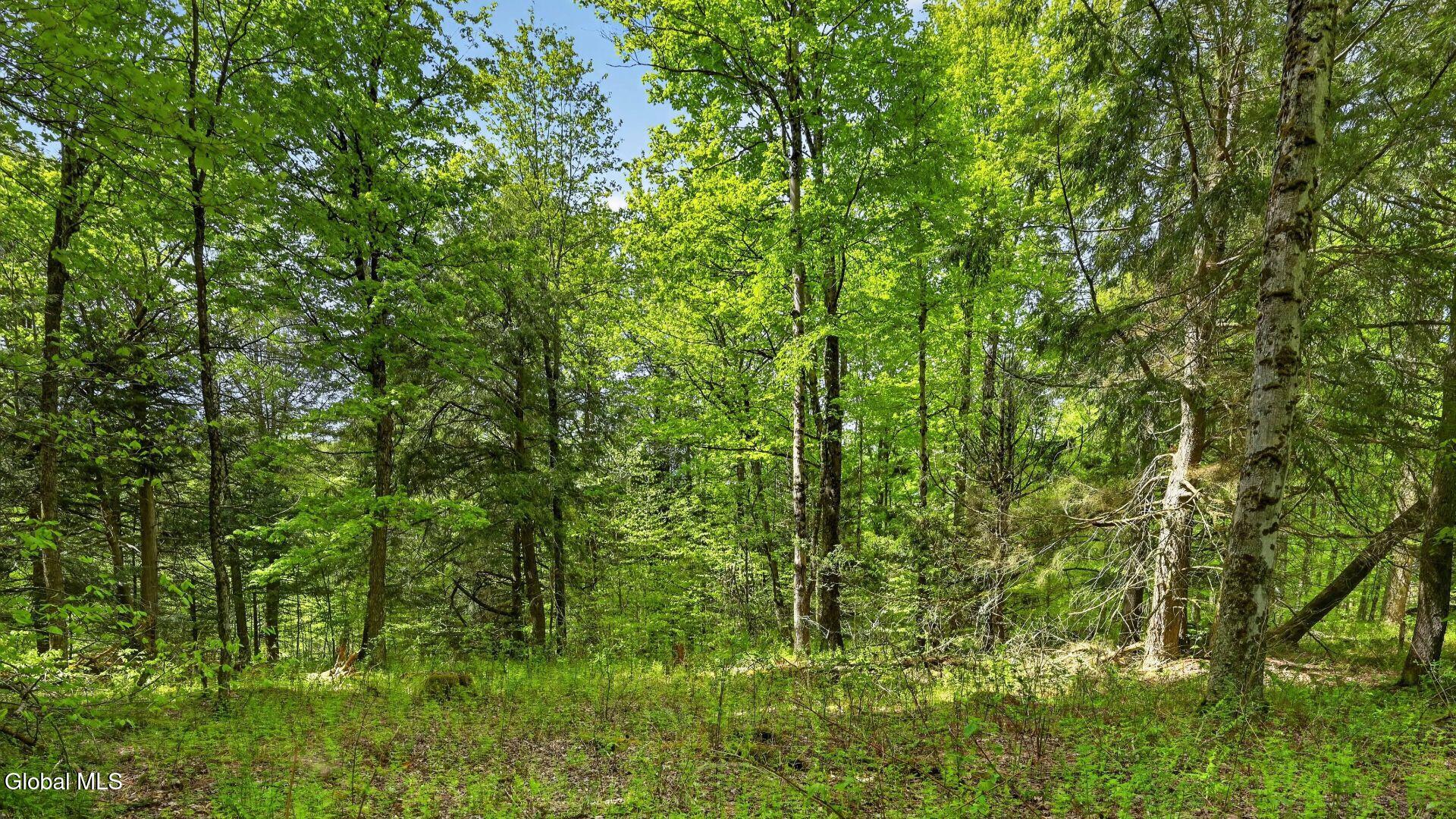 L1.6 Crystal Brook Path Jefferson NY 12093