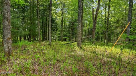 L1.6 Crystal Brook Path Jefferson NY 12093