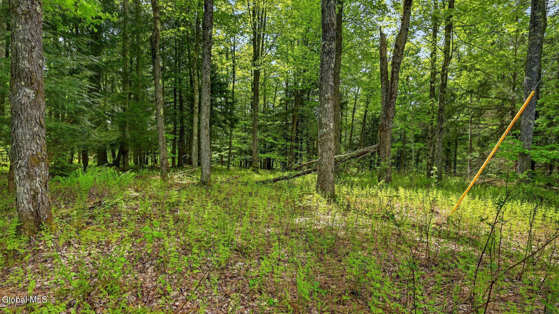 L1.6 Crystal Brook Path Jefferson NY 12093