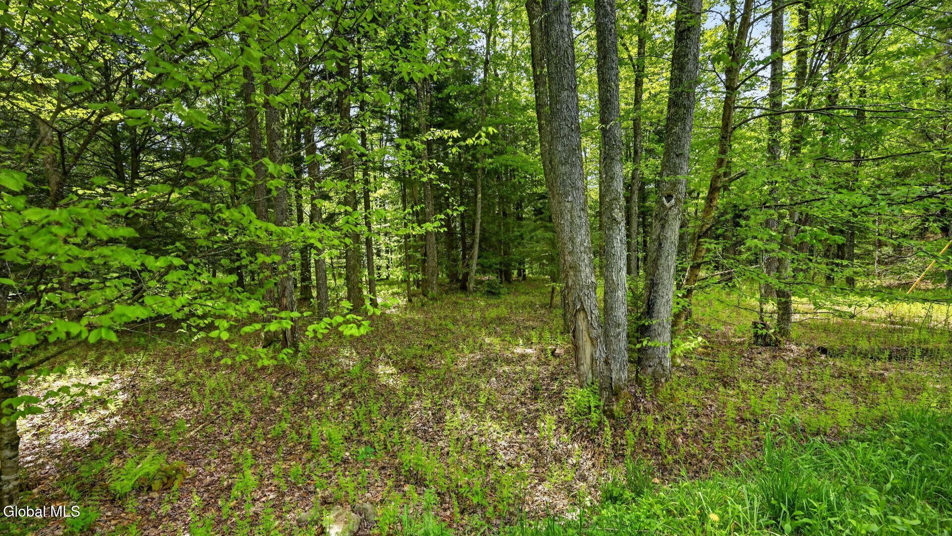 L1.6 Crystal Brook Path Jefferson NY 12093