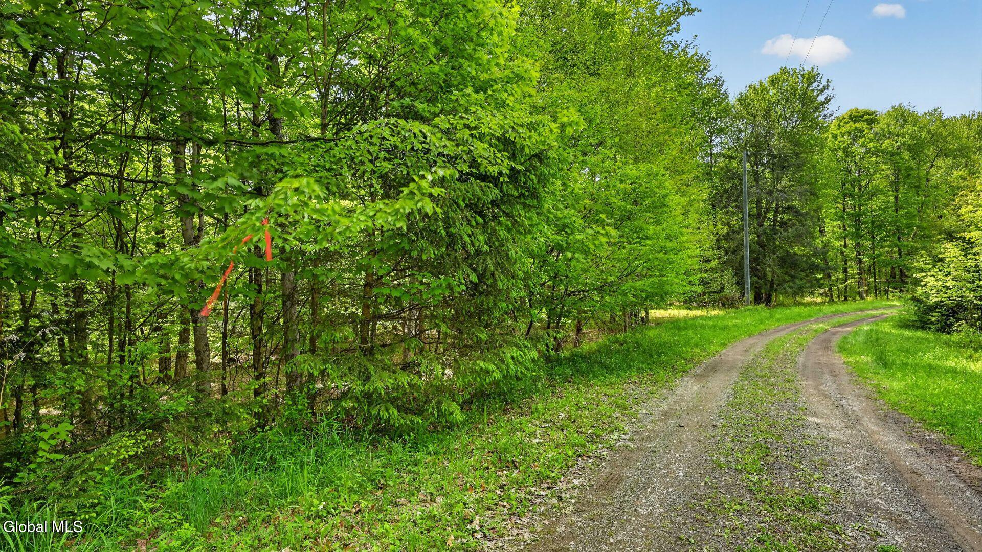 L1.6 Crystal Brook Path Jefferson NY 12093
