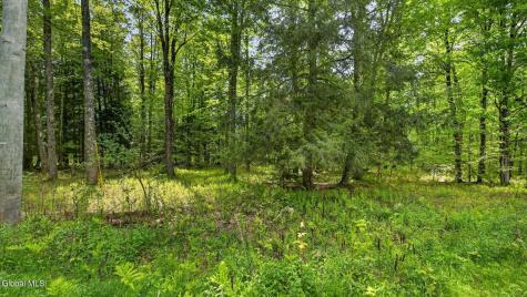 L1.6 Crystal Brook Path Jefferson NY 12093