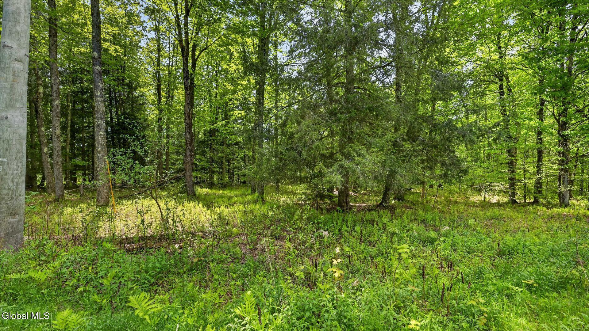 L1.6 Crystal Brook Path Jefferson NY 12093