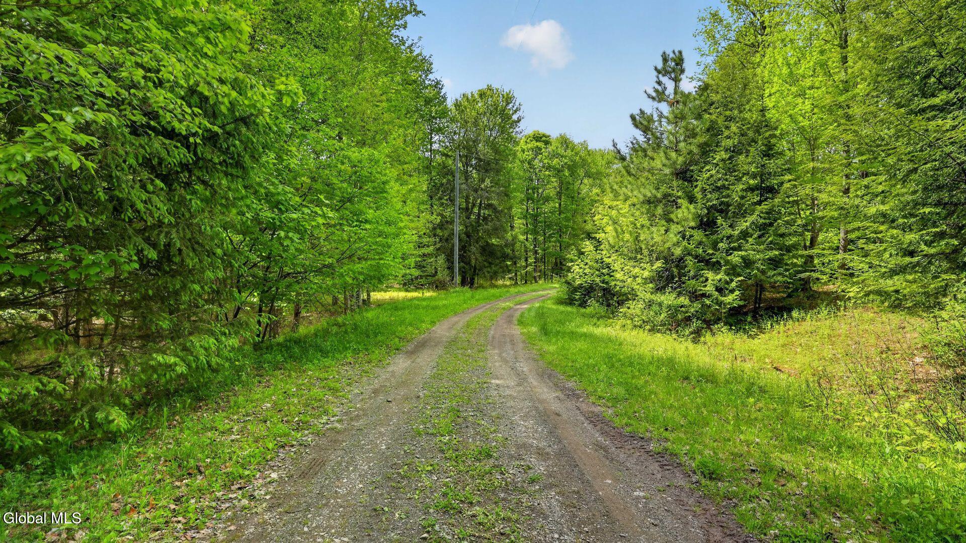 L1.6 Crystal Brook Path Jefferson NY 12093