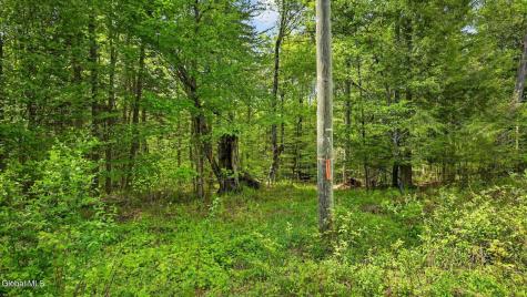 L1.6 Crystal Brook Path Jefferson NY 12093