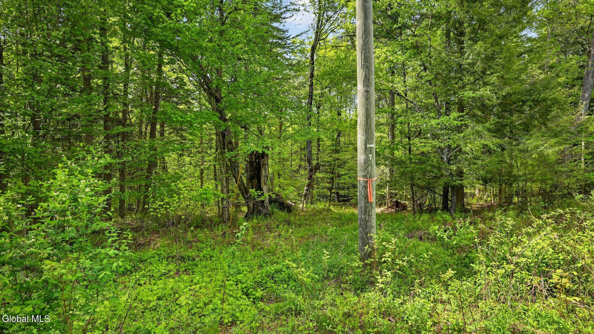 L1.6 Crystal Brook Path Jefferson NY 12093