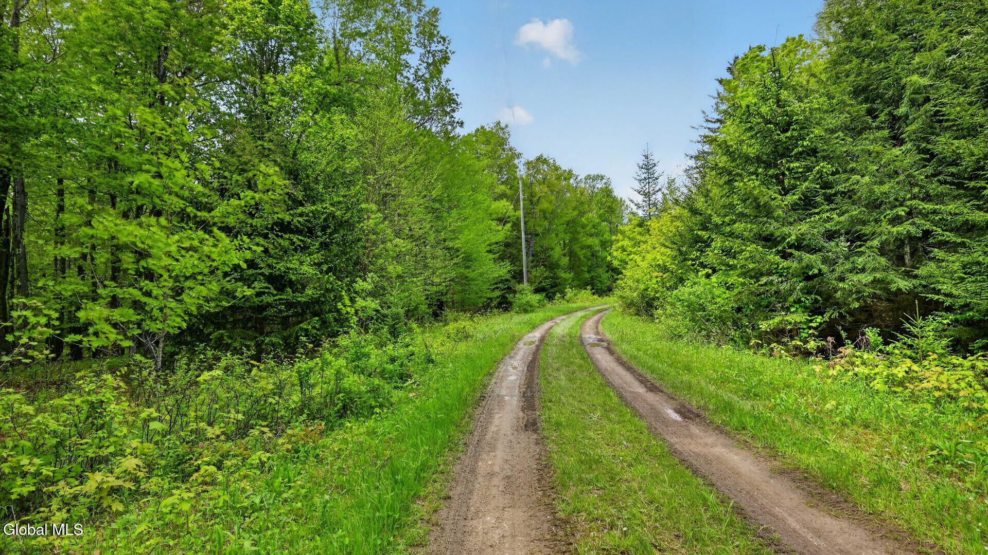 L1.6 Crystal Brook Path Jefferson NY 12093