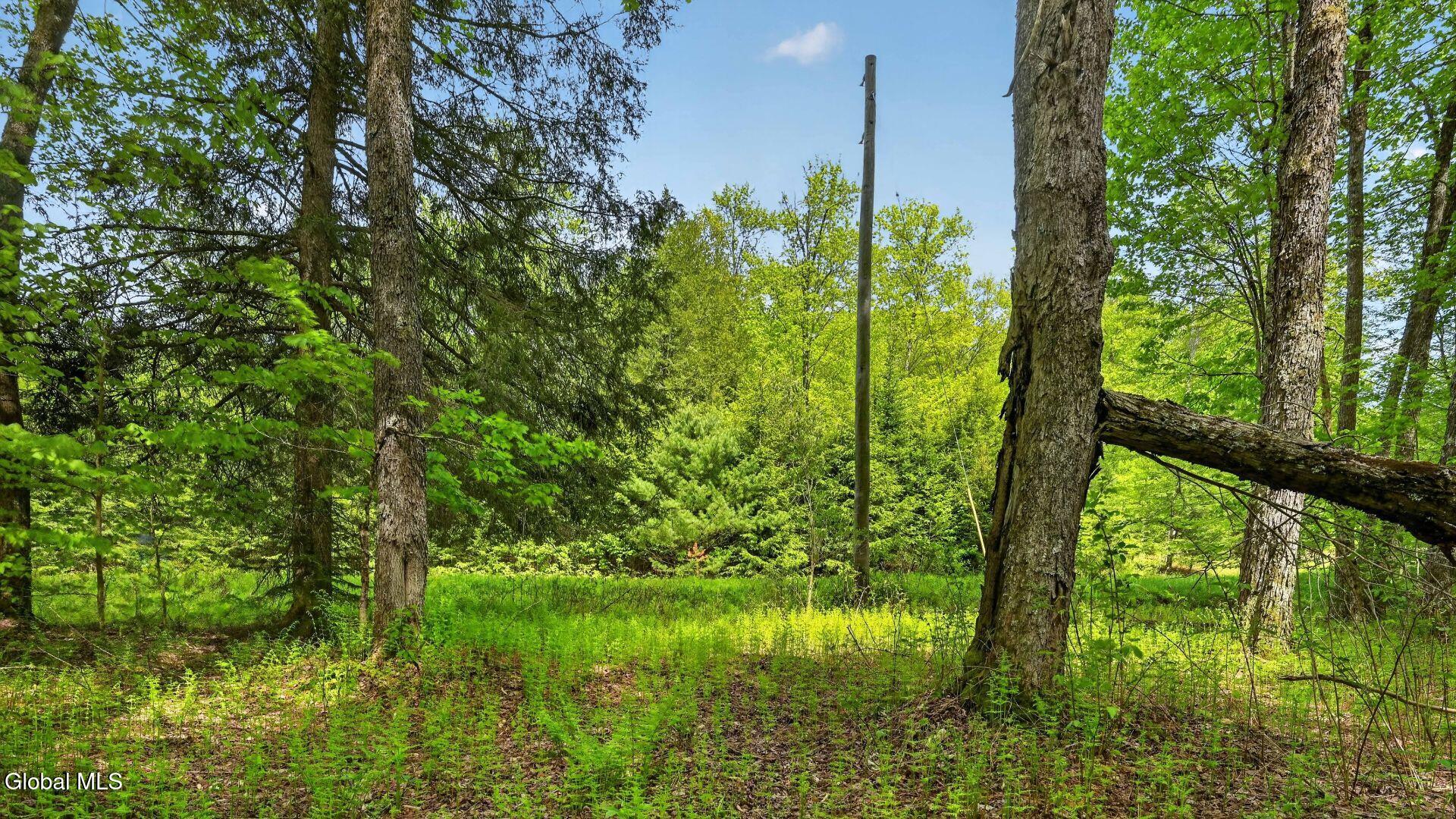 L1.6 Crystal Brook Path Jefferson NY 12093