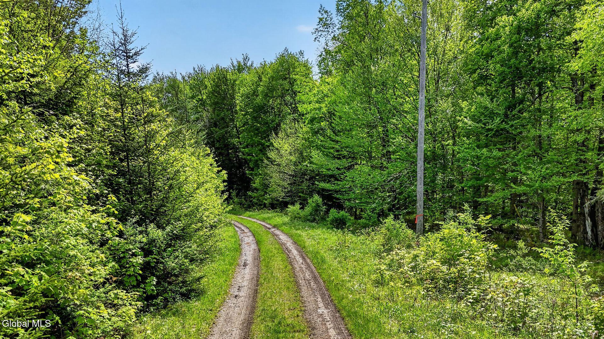 L1.6 Crystal Brook Path Jefferson NY 12093