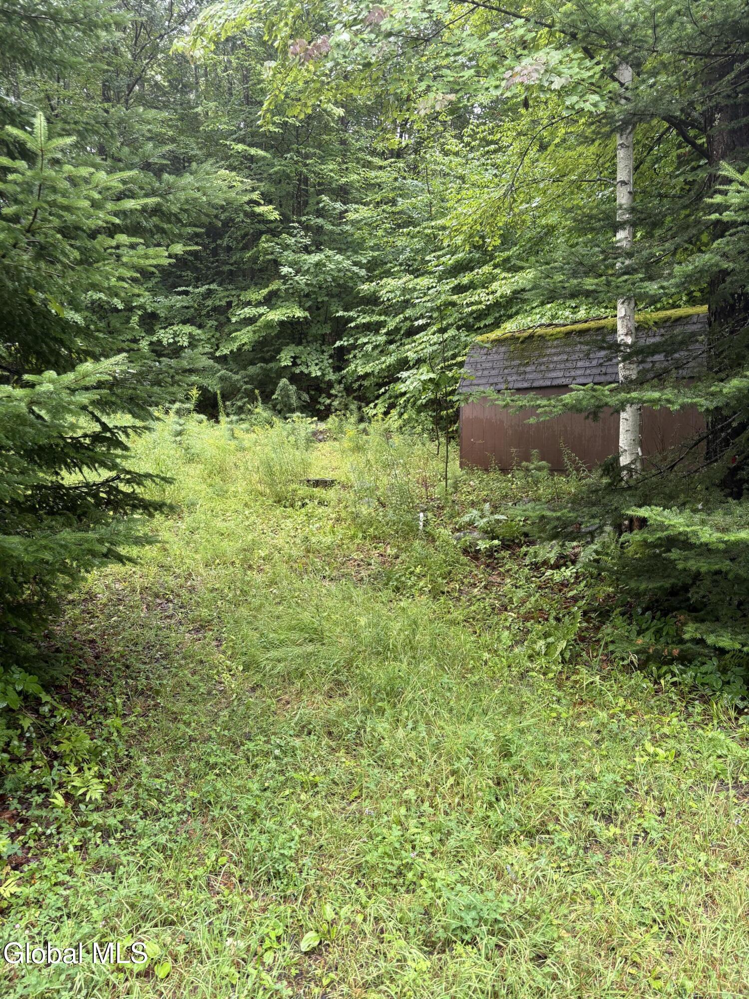 129 Mud Street Athol NY 12810