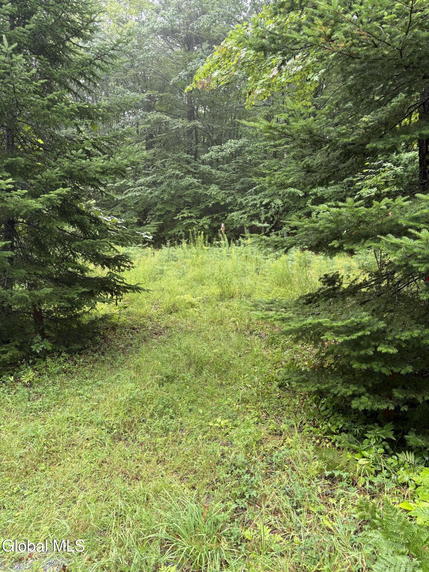 129 Mud Street Athol NY 12810