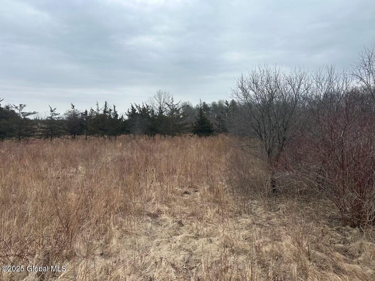 97 Hillside Drive Athens NY 12015