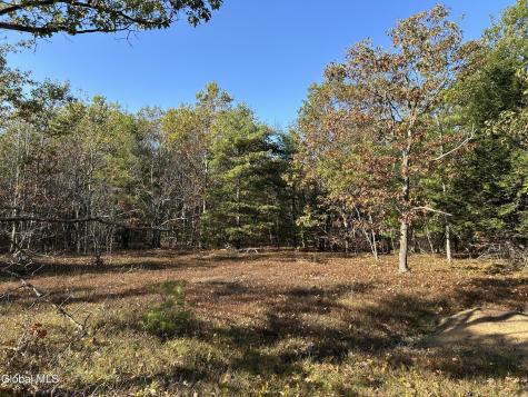 L31 Gulf Hill Road East Berne NY 12059