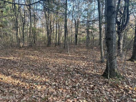 L31 Gulf Hill Road East Berne NY 12059