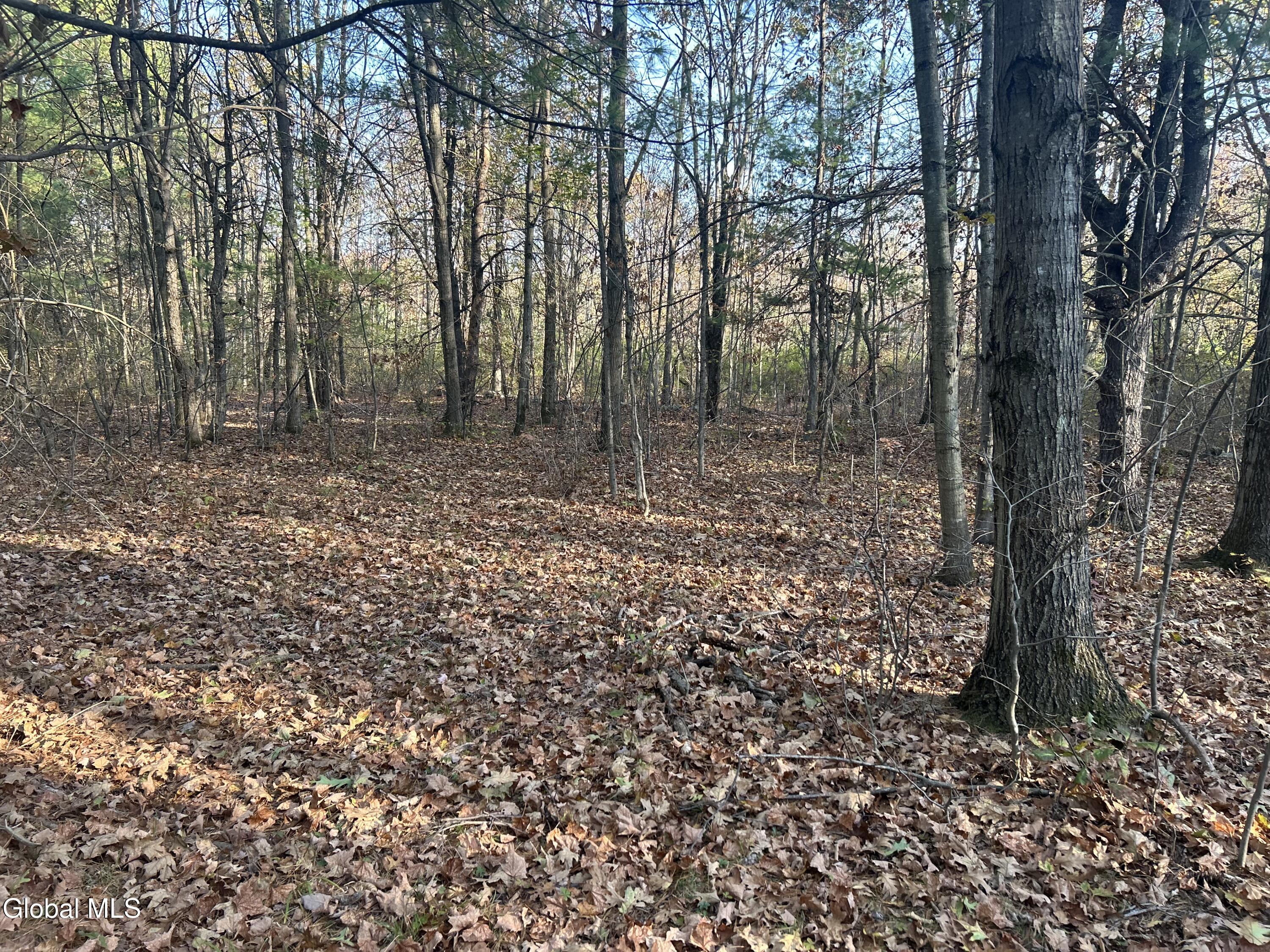 L31 Gulf Hill Road East Berne NY 12059