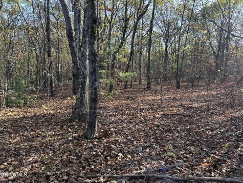 L31 Gulf Hill Road East Berne NY 12059