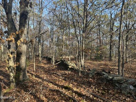 L31 Gulf Hill Road East Berne NY 12059